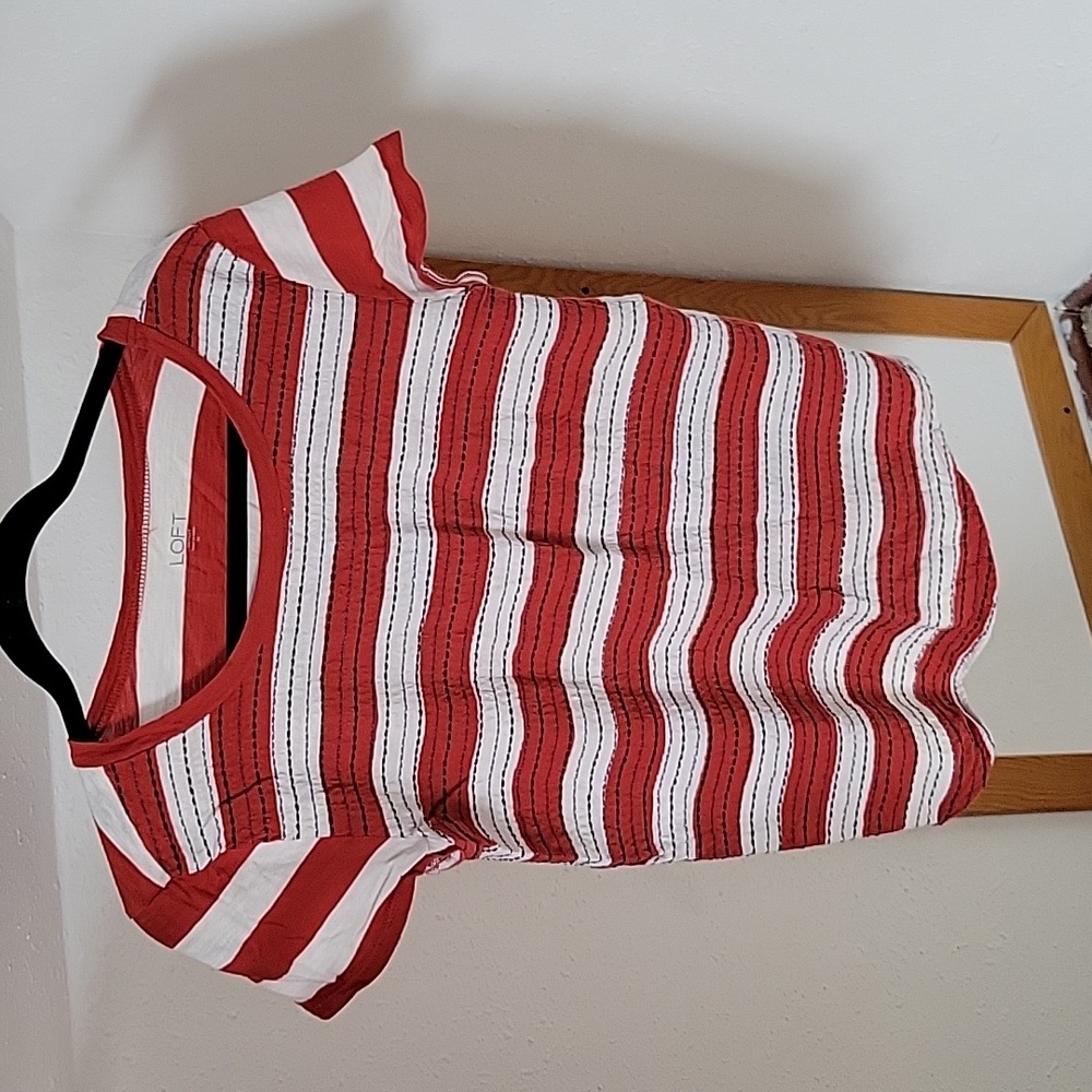 Rust and ivory striped tee with embroidered stripes